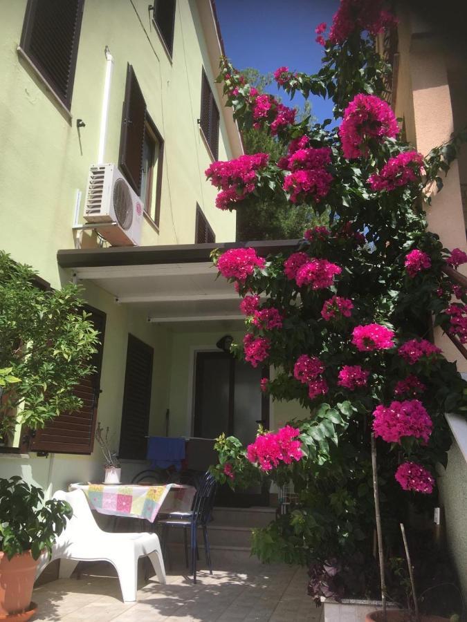 Greenhouse Family Apartments ราบัซ ภายนอก รูปภาพ